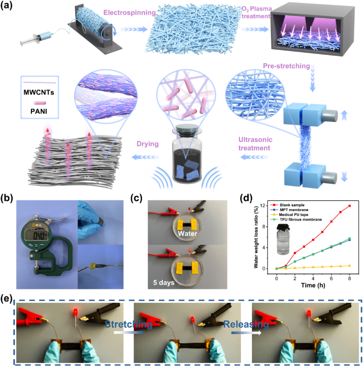厦门理工学院牛世聪、闫书宗、王翔&上海海事大学孙士斌：宽温域下具有近零温度系数的超热稳定电纺纤维应变传感器，助力人体运动与结构健康监测